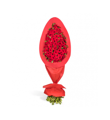 MUTLU YARINLAR KIRMIZI GERBERA TEBRİK ÇELENGİ