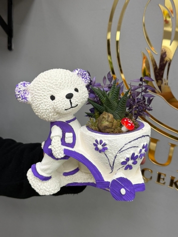 Mor Detaylı Ayıcık Saksı – Mini Sukulent Aranjmanı