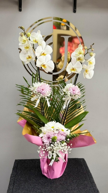 Çifli İthal Orkide