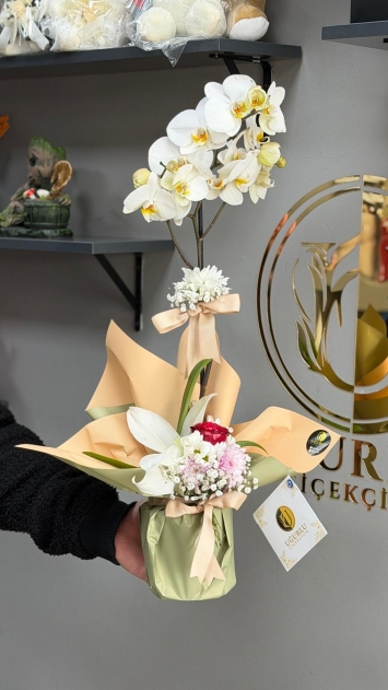 Tek dal Beyaz Orkide